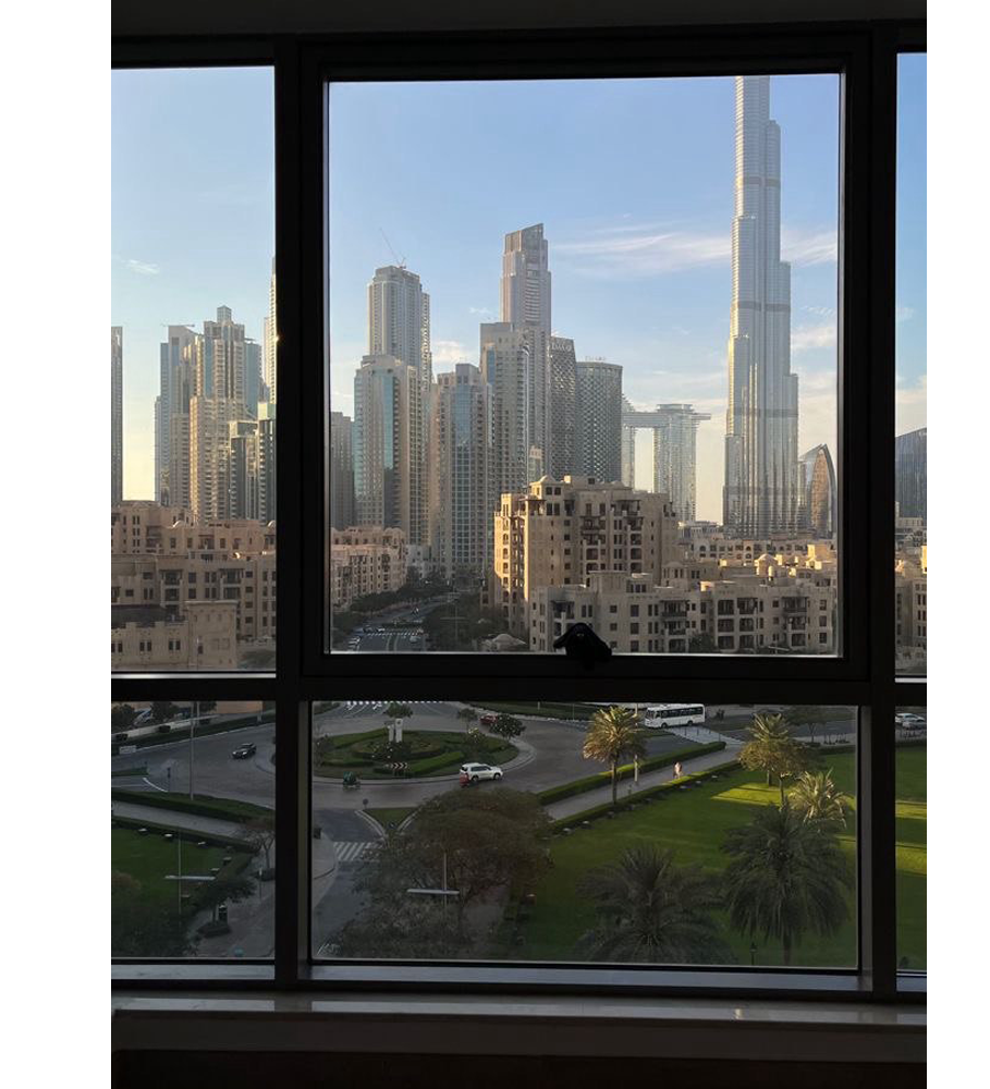 Dubai property investment